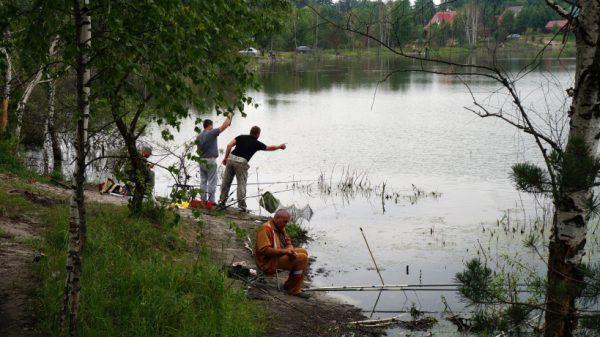 Полтонны карпа выпустят в пруд Егорьевска 9 июля