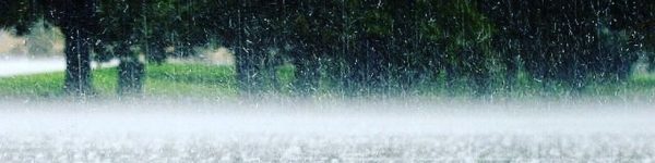 МЧС предупреждает: 3 августа ожидается дождь и усиление ветра 14-19 м/с
 