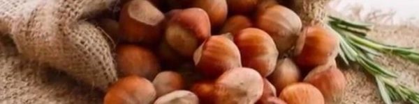 Ореховый Спас в Химках отметят скидками на продукты
 