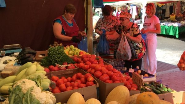 Сотни килограммов меда, мяса и овощей реализовали фермеры на ярмарке в Шаховской