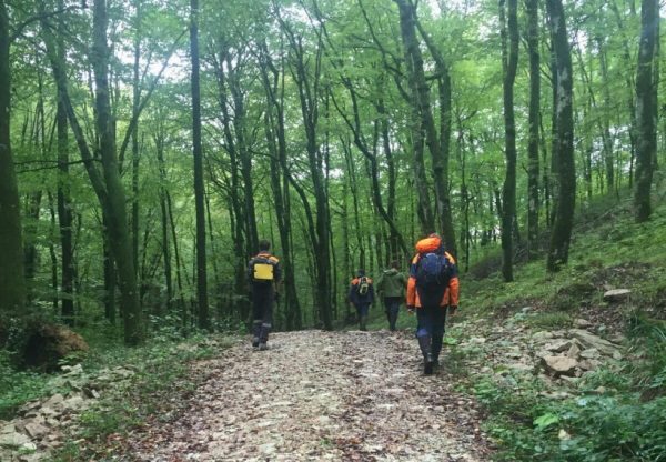 Учения по поиску потерявшихся в лесу людей состоятся в Орехово-Зуевском районе 9 августа
