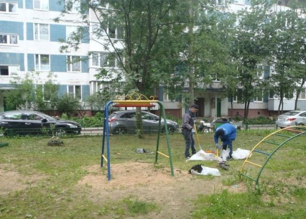 В Московской области с начала года проверено почти 7 тысяч детских площадок 