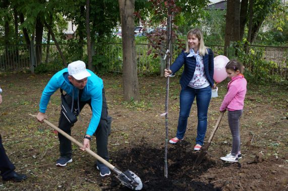 Молодые мамы в Химках посадили яблоневый сад