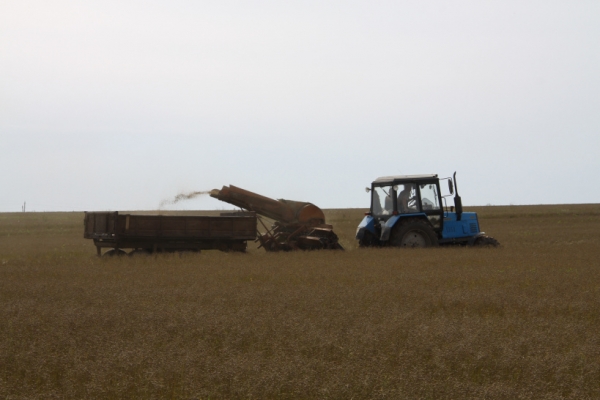 Разин: Уборку урожая в Подмосковье закончат в начале ноября