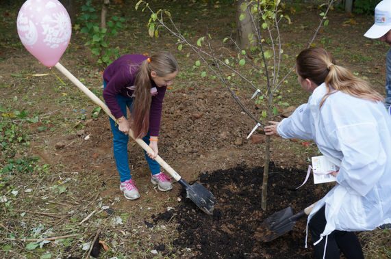 Молодые мамы в Химках посадили яблоневый сад