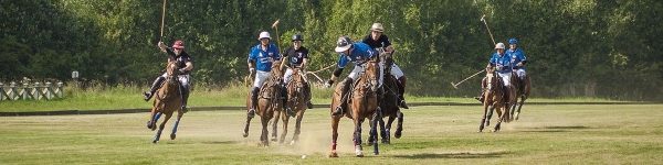 В Химках состоялся первый турнир по конному поло на Кубок Главы города
 