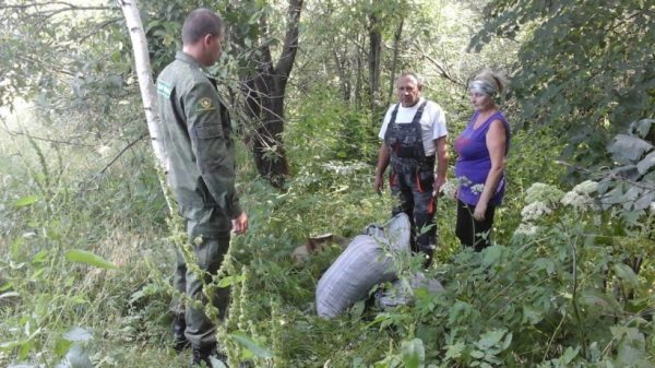 Пять нарушений зафиксировали в ходе антимусорных рейдов в лесах Подмосковья за сутки