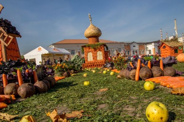 Морковный фестиваль прошел в Дмитрове