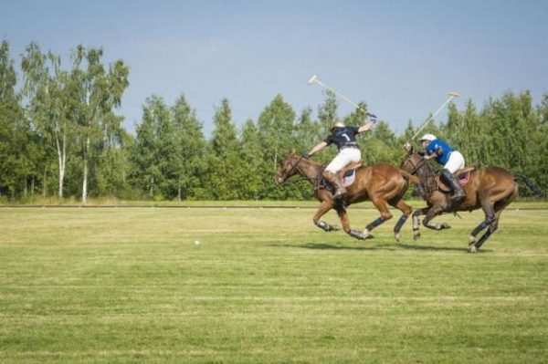 В ОУСЦ Планерная состоялся первый официальный турнир по конному поло на Кубок Главы города