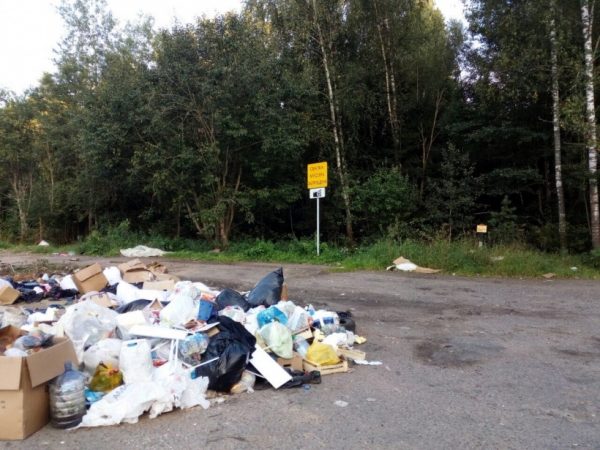 Нарушителей чистоты в Котельниках оштрафовали на 28 тыс. рублей в августе 