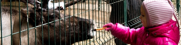 Во Всемирный день защиты животных ламе из Химок исполнилось 5 месяцев
 