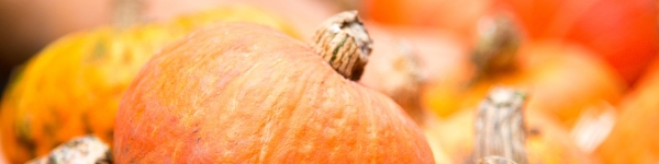 В первый день акции «Золотая осень» химчане купили 2,5 тонны продуктов
 