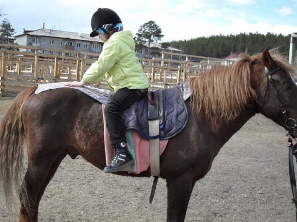 Фестиваль по конному спорту для детей с ограниченными возможностями пройдет в Котельниках