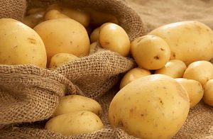 33 тонны картофеля продали на химкинских ярмарках 