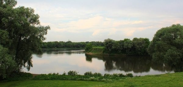 Час Правительства Московской области: С 2013 года в Московской области было <span id=