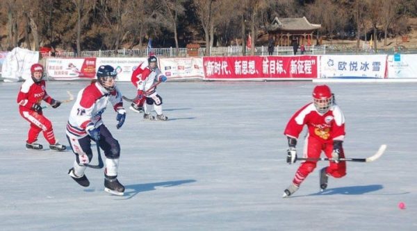 Роман Терюшков: «Приятно, что «серебро» сборной по хоккею с мячом добыто, в том числе благодаря подмосковным хоккеисткам»