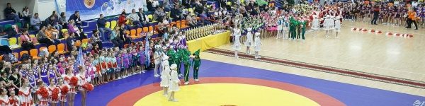 19 медалей областного фестиваля завоевали химкинские черлидеры 
 