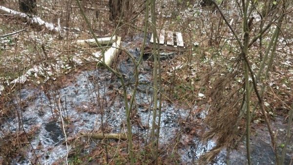 Минэкологии привлекло к ответственности предприятие из Ногинского района за загрязнение земель