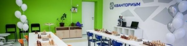 «Шахматные гостиные» для школьников откроются в 36 регионах России
 