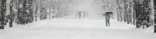 5 февраля на территории Подмосковья ожидается ухудшение погодных условий
 
