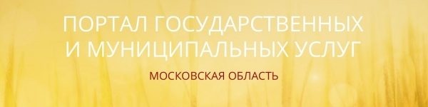 Порядка 30 услуг можно получить через портал uslugi.mosreg.ru
 