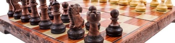 Воспитанники «Prof.ChessClub» отличились на первенстве России
 
