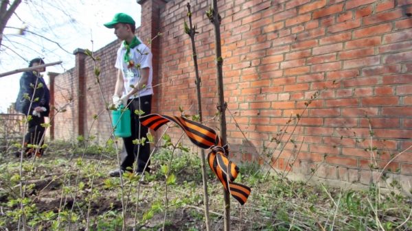 Три площадки для посадки деревьев на акции «Лес Победы» определили в Дзержинском