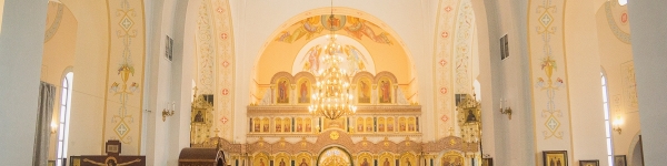 Сотни православных химчан отмечают Вербное Воскресенье
 