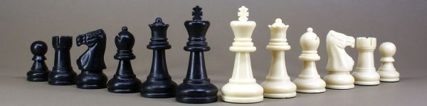 Шахматисты из Химок продолжают бороться за награды
 