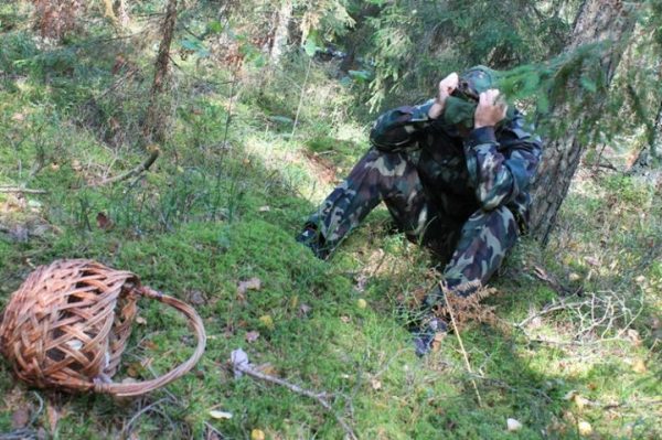 Система-112 Московской области помогает оперативнее выводить заблудившихся из леса