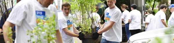 Порядка 100 саженцев декоративных растений <span id=