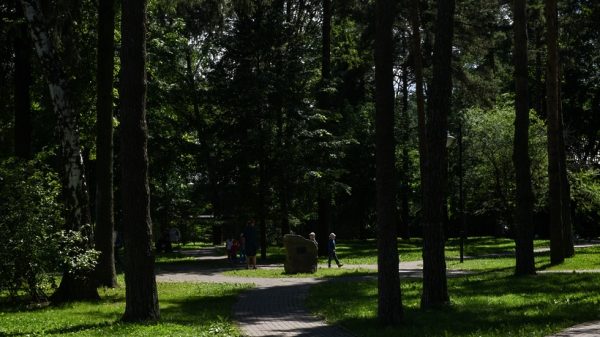 Субботники в лесопарках Балашихи проведут 26 мая