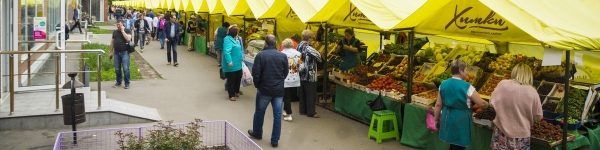 Более 3-х тонн фруктов продали на ярмарке в Химках
 