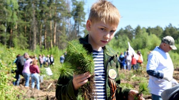 Около 70 тыс растений высадят в Пушкинском районе в ходе акции «Лес Победы»