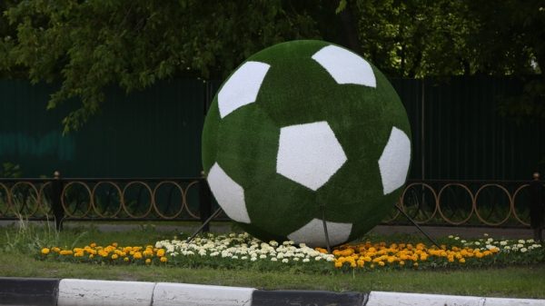 Гигантский футбольный мяч-клумбу установили в Раменском в преддверии ЧМ–2018