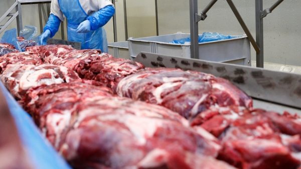 Свыше 25 млрд рублей вложат в развитие мясоперерабатывающего производства в Кашире