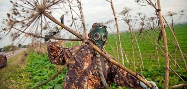Мособлдума установила ответственность для юрлиц и граждан за невыполнение мероприятий по <span id=