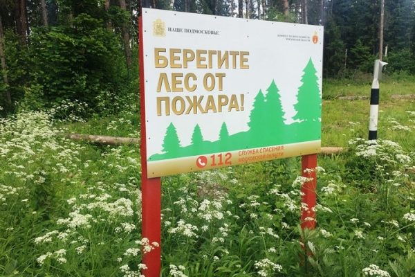 В Московской области площадь природных пожаров сократилась на 40%