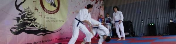 В Химках пройдет фестиваль боевых искусств «АГАЦУ-2018»
 
