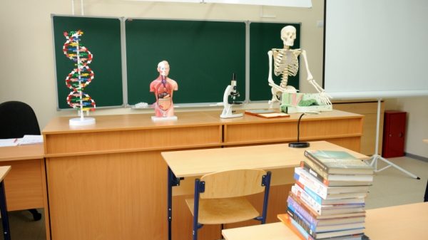 Все образовательные учреждения Котельников прошли приемку комиссией к учебному году