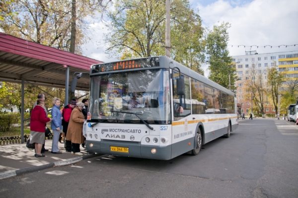 Новые автобусные маршруты до СНТ запустили в Подмосковье