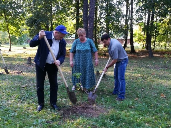 Депутаты Мособлдумы приняли участие в акции «Наш лес. Посади дерево»