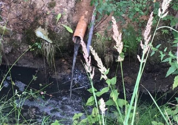 После вмешательства минэкологии дачное партнерство из Дмитровского округа прекратило загрязнение реки