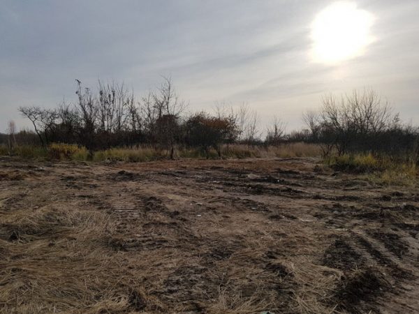 Активисты ОНФ добились ликв<span id=