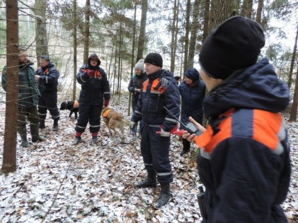Более 480 человек вывели из леса спасатели Московской области с начала 2018 года