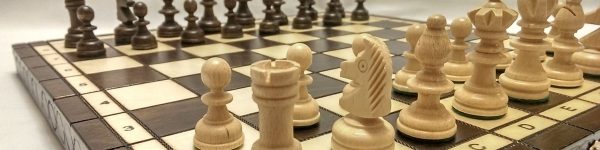 Химкинский шахматист стал серебряным призером чемпионата Европы
 