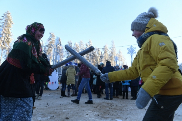 Главную новогоднюю ель страны срубили в Щелковском районе