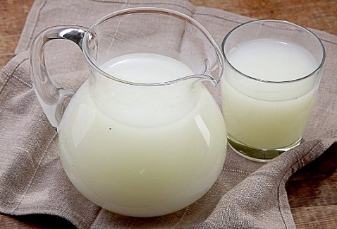 Молочное производство в Подмосковье планируют открыть болгарские предприниматели