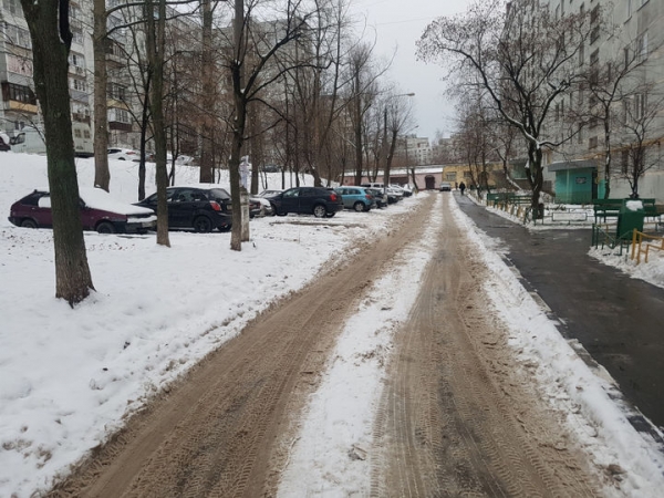 Активисты ОНФ проверили качество уборки снега в Подмосковье
