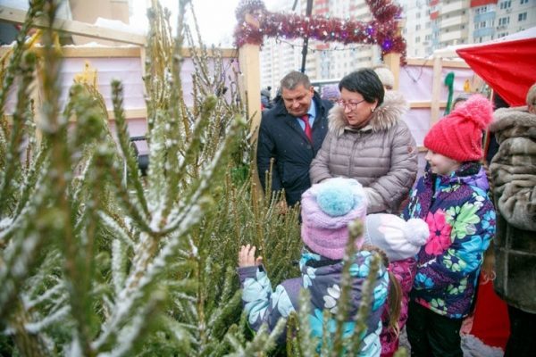 В Московской области состоялось открытие первого елочного базара